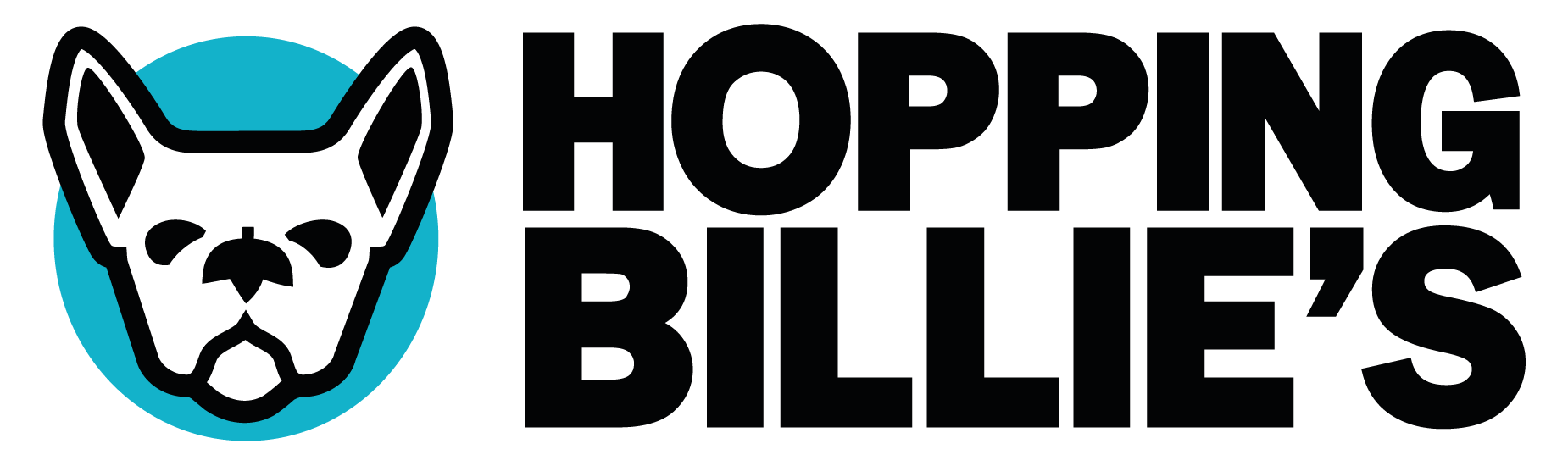 HB-logo-kleur-transparant-1850-550